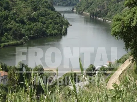 Terreno Único com Potencial Habitacional ou Agrícola &#124; Santa Marinha do Zêzere, Baião
