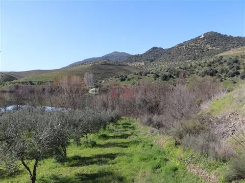 Fattoria / Cascina / Casale