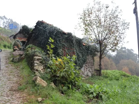 独立屋恢复 2个房间