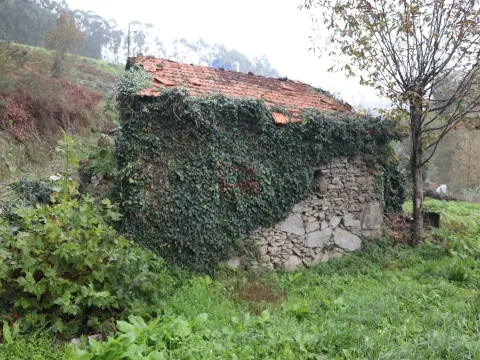 独立屋恢复 2个房间