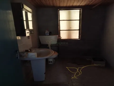 img_13