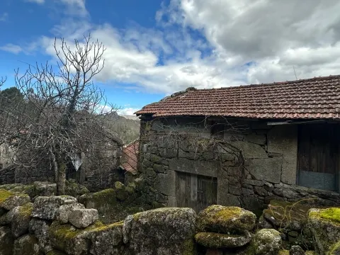 img_2