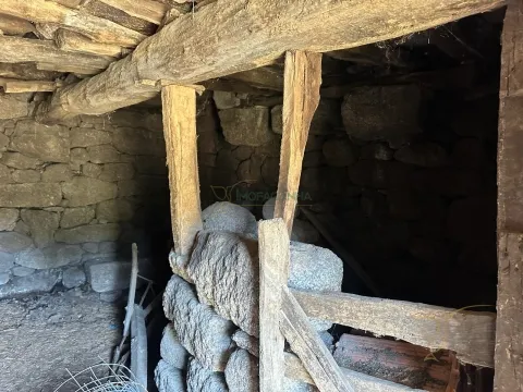 img_12