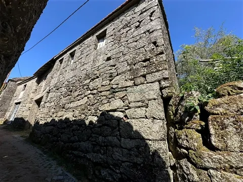 img_1