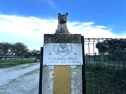 Quinta