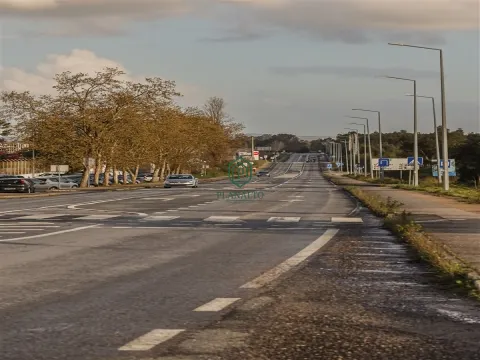 Appartement 3 Chambre(s)