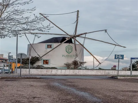 Appartement 3 Chambre(s)