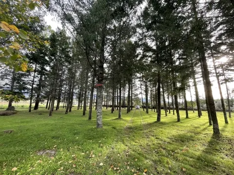 Quinta da Tapada / Teixugueira