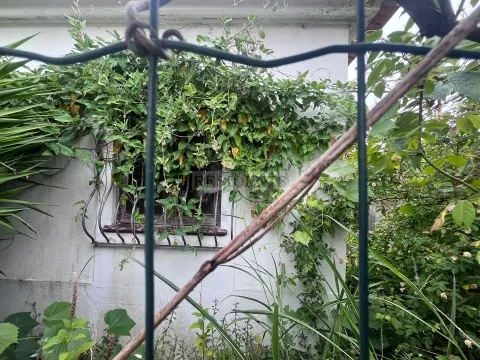 Real estate land T4