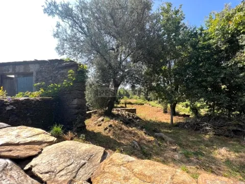 Terrain