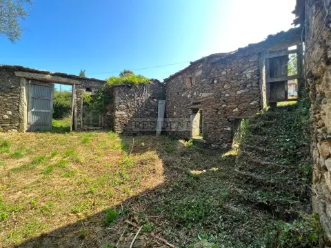 Terrain