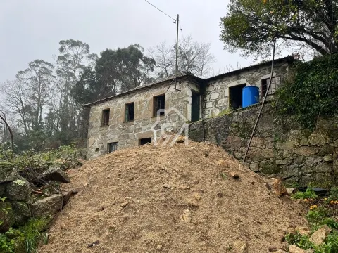 独立屋恢复 2个房间