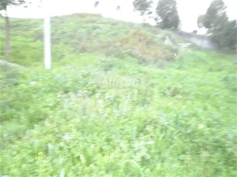 Lotissement de terrain