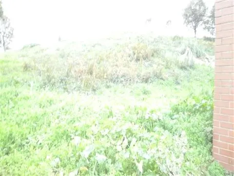 Lotissement de terrain