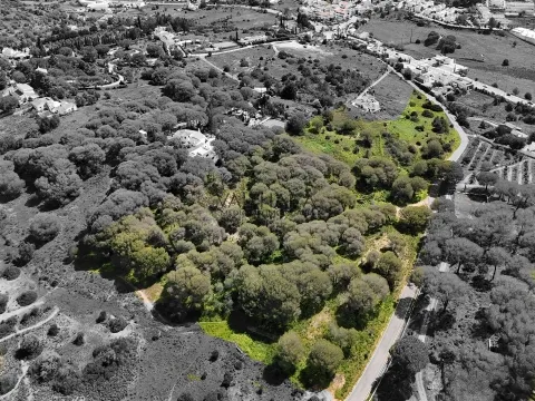 Rustic Land, Porches, Lagoa