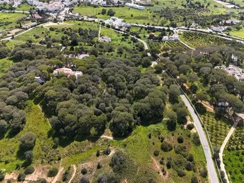 Rustic Land, Porches, Lagoa