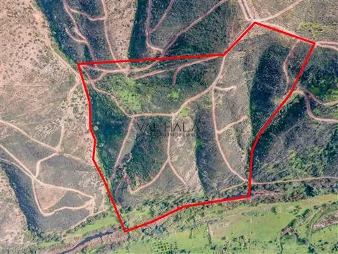 Gemischte Parzelle in Alferce, Monchique, Algarve