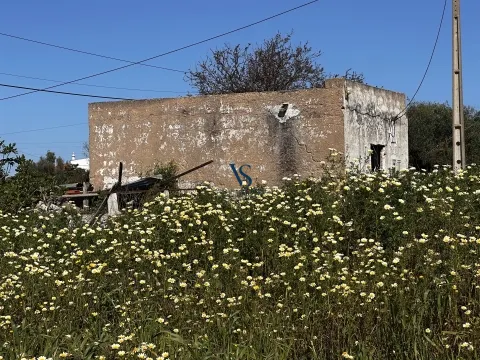 Land
