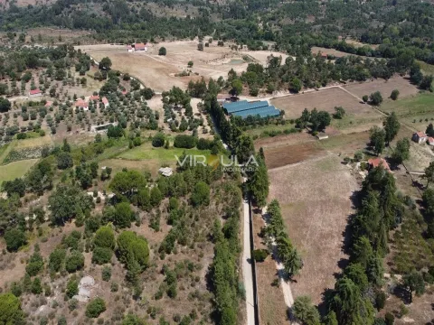Herdade T6 Fonte da Prata, 20 hectares  - Pedrogão S.Pedro - Penamacor - Virgula Imobiliária
