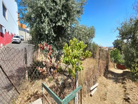Terreno Plano com 300m² – Dominguiso, Covilhã 