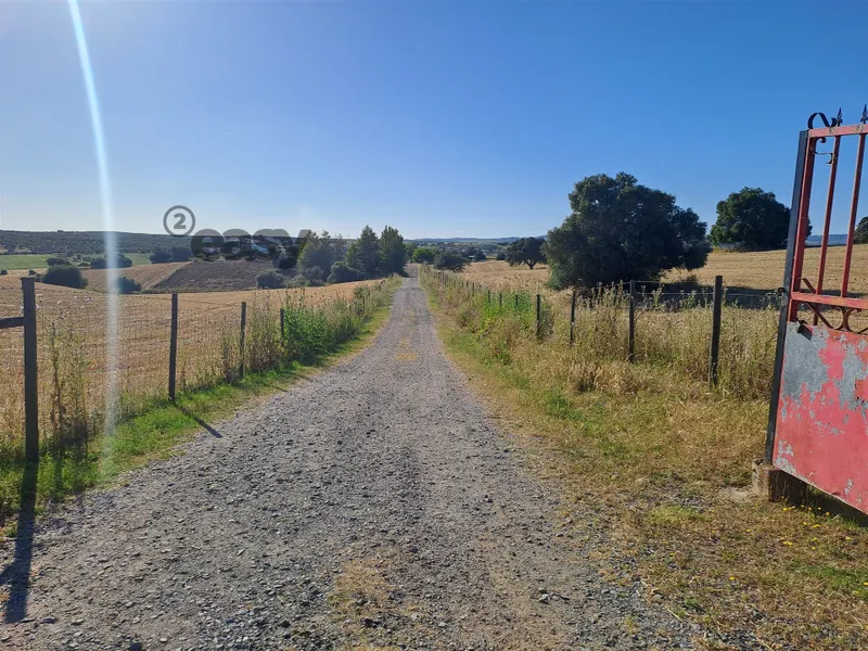 HERDADE COM SALA DE ORDENHA OVINOS ou CAPRINOS E ARMAZÉNS EM SELMES e T1