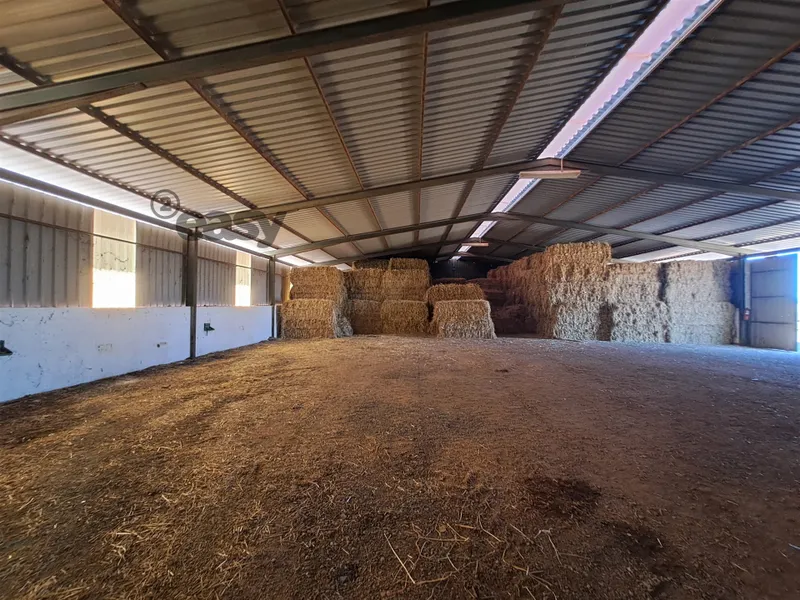 HERDADE COM SALA DE ORDENHA OVINOS ou CAPRINOS E ARMAZÉNS EM SELMES e T1