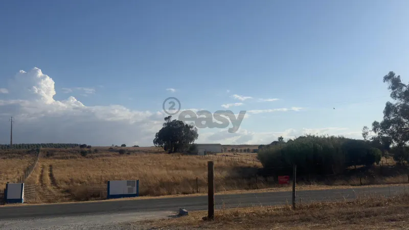 Terreno rústico de 4,5 ha, Casével, Castro Verde