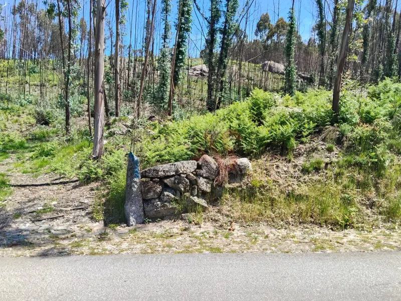 Rustic land with 15,064.30 m² in Seidões, Fafe