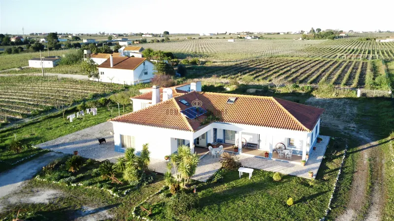 Quinta com 15.000 m² em Palmela