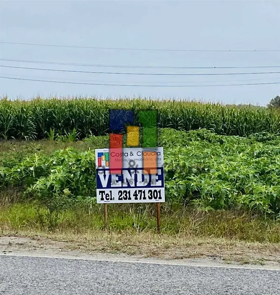 Real Estate building