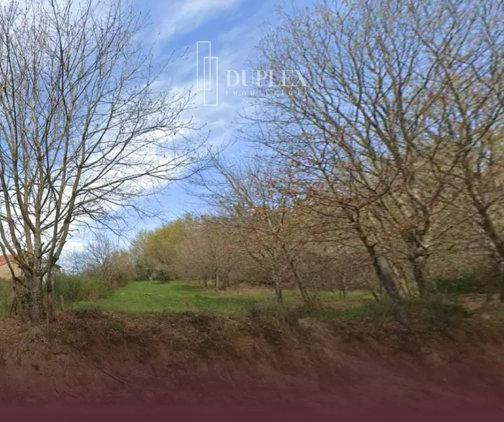 Terrain à bâtir