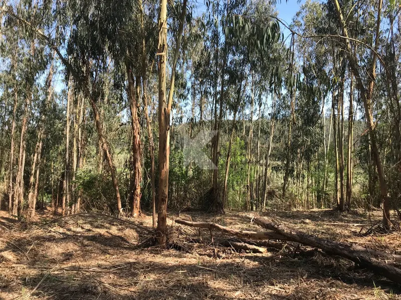 T7 housing in Coimbra to restore