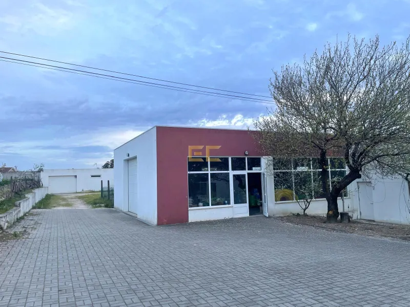 Almacén industrial con negocio en funcionamiento – Cadima (Cantanhede)
