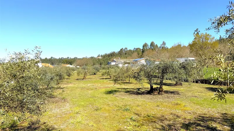 Terreno Urbano
