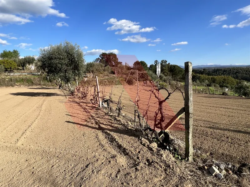 Terrain rural Studio