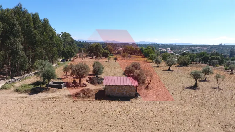 Terrain rural