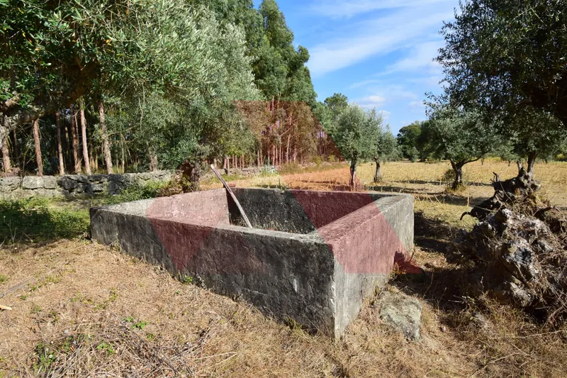 Terrain rural