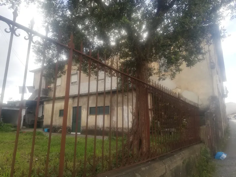 Moradia + Terreno - 6.558 m² | Fânzeres, Gondomar, Porto