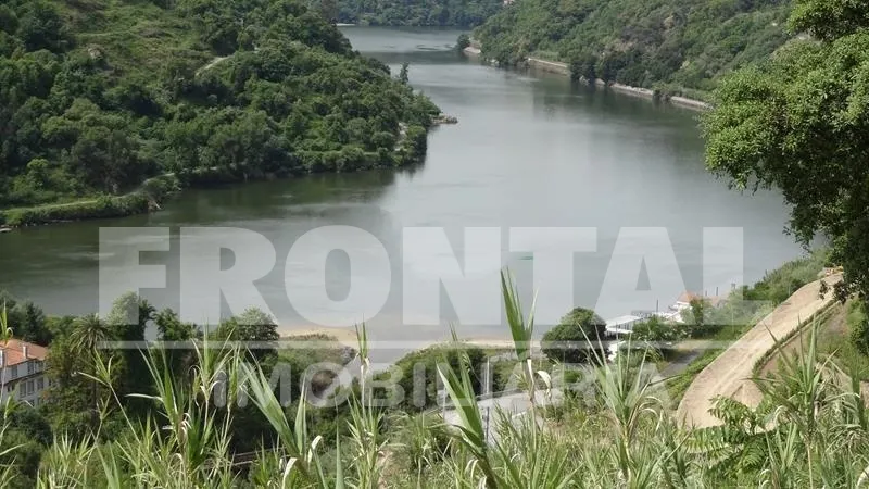 Terreno Único com Potencial Habitacional ou Agrícola | Santa Marinha do Zêzere, Baião