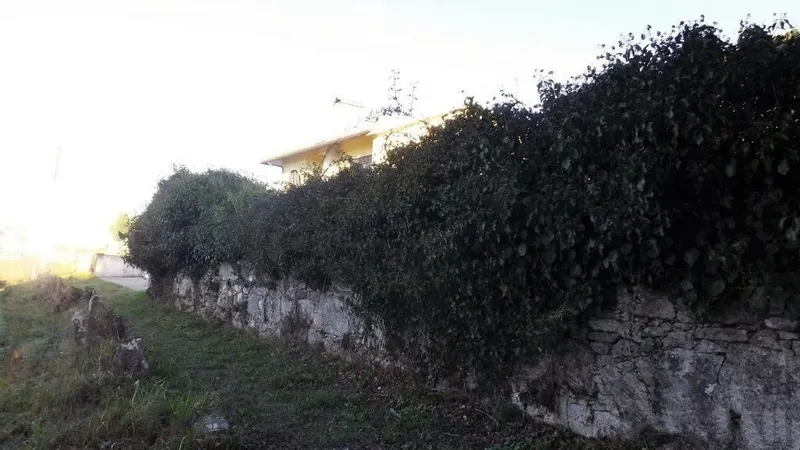 Real Estate building