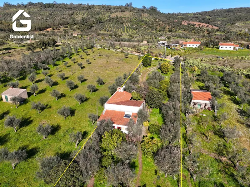 Quinta