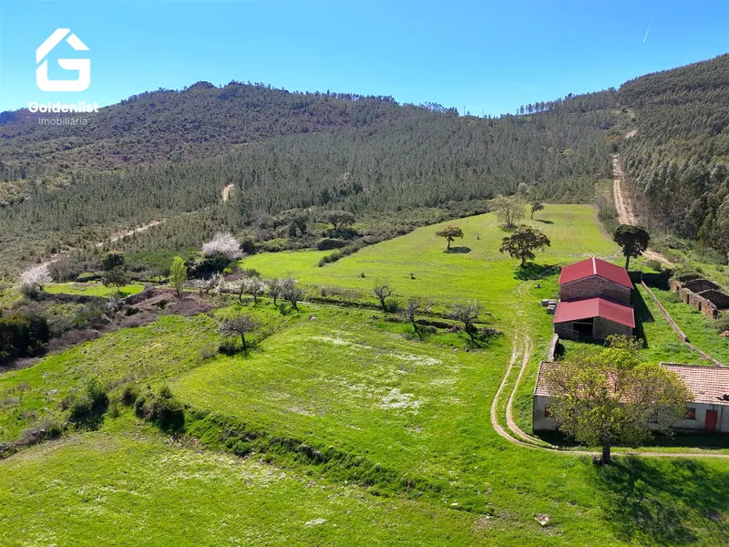 Country Estate