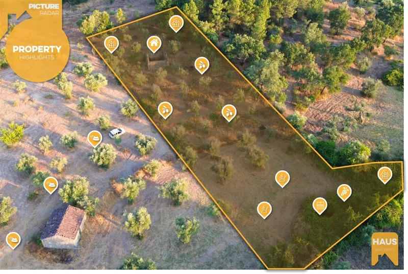 Terreno Rústico de 2.400 m² – 30m2 Ruína, Poço em Pedra, Olival