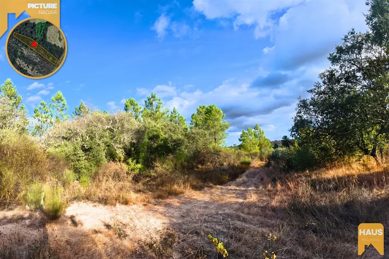 Terrain Rustique de 2 700 m² – Murs en Granit, Arbres Fruitiers