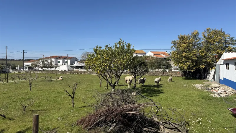Einfamilienhaus 3 Schlafzimmer