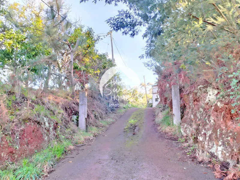 Bauernhof, Land in São Jorge