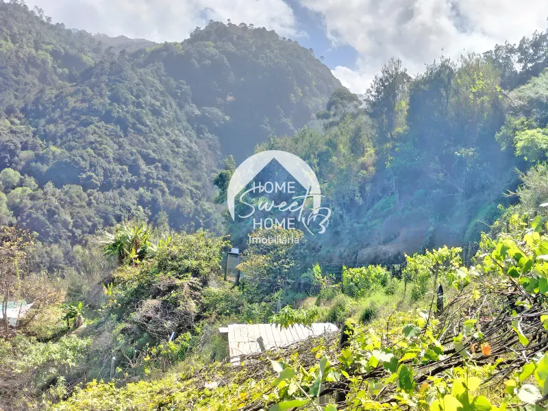 Terreno Rústico para construir, junto à Laurisilva