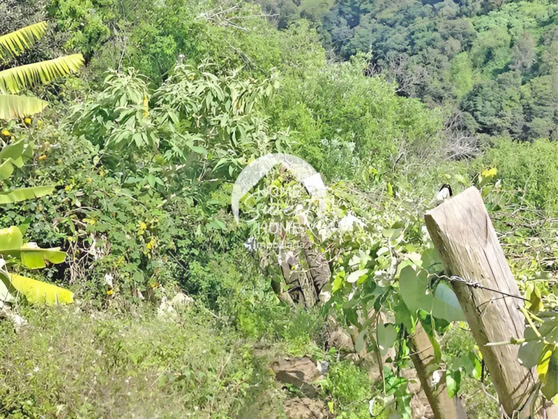 Terreno Rústico para construir, junto à Laurisilva