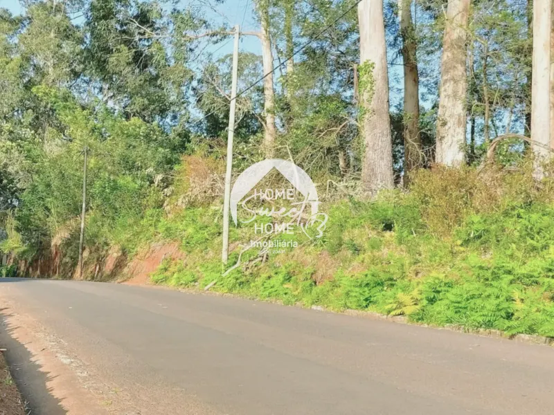 Propriedade com 2880m2 para investimento