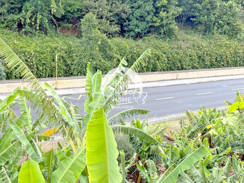 Armazém agrícola e terreno em Santo António, Funchal